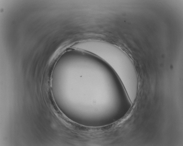 X0000062900101200601201921