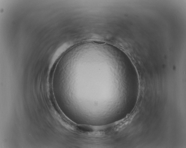 X0000062900102200601201921