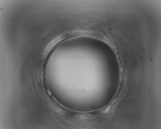 X0000062900103200601201921