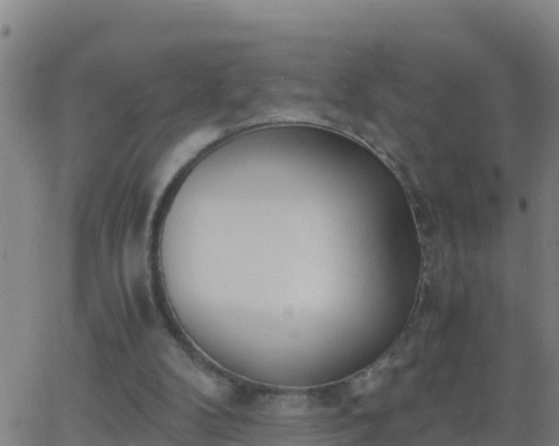 X0000062900104200601201921