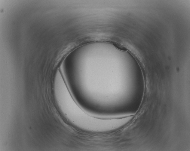 X0000062900105200601201921