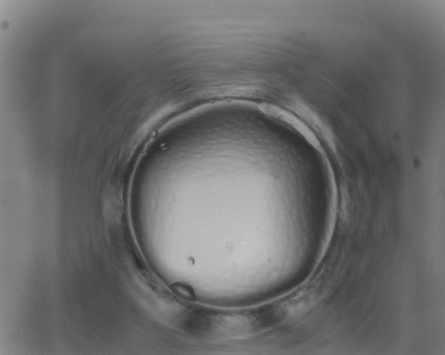 X0000062900107200601201921