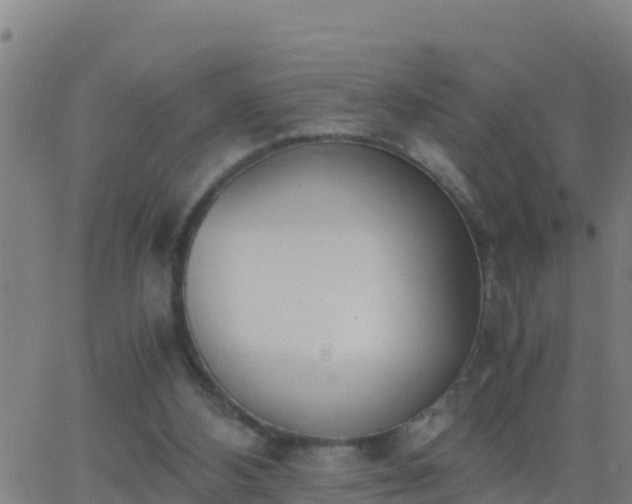 X0000062900108200601201921