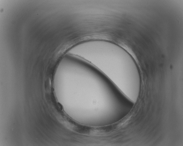 X0000062900109200601201921