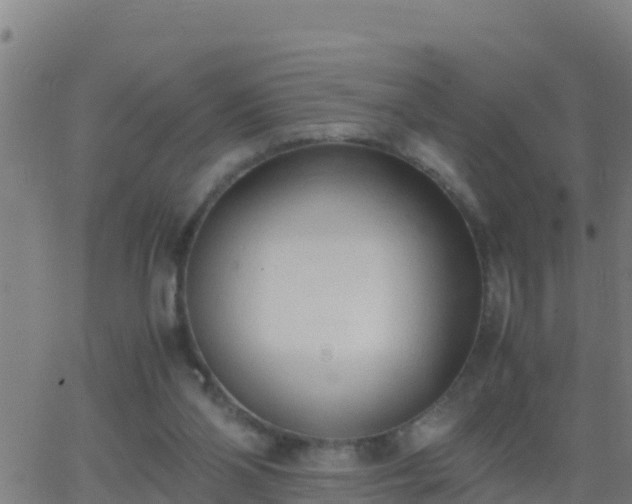 X0000062900110200601201921