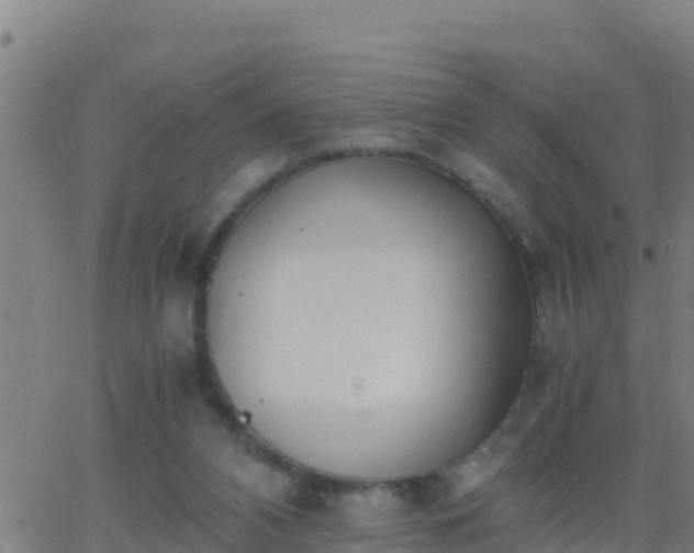 X0000062900112200601201921