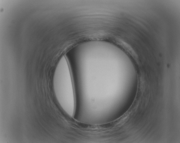 X0000062900113200601201921