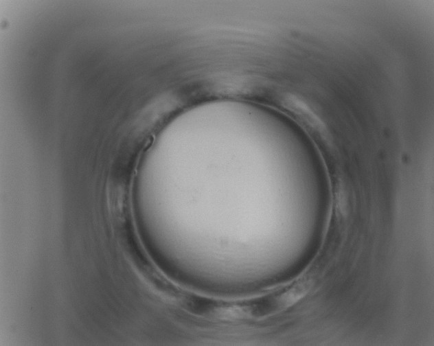 X0000062900115200601201921