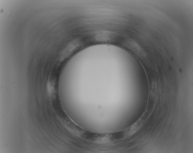 X0000062900116200601201921