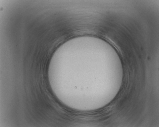 X0000062900117200601201921