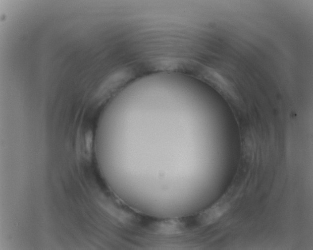 X0000062900118200601201921