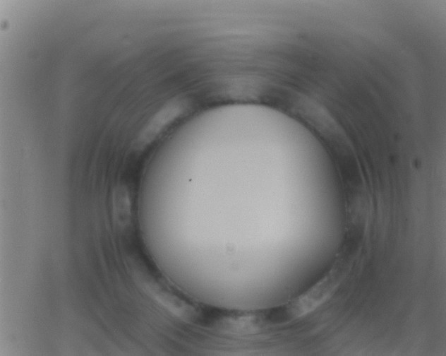 X0000062900120200601201921