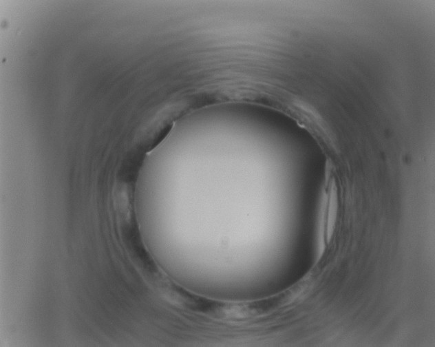 X0000062900121200601201921