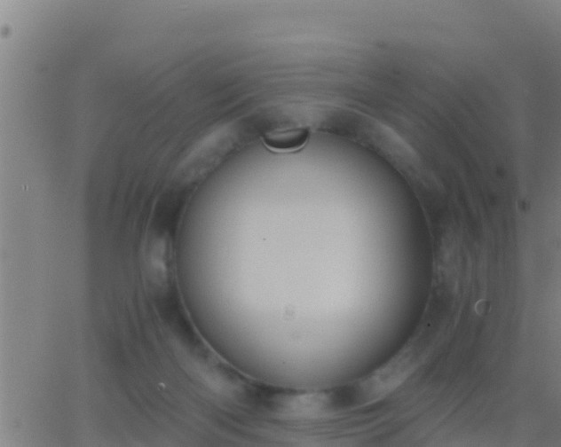 X0000062900122200601201921