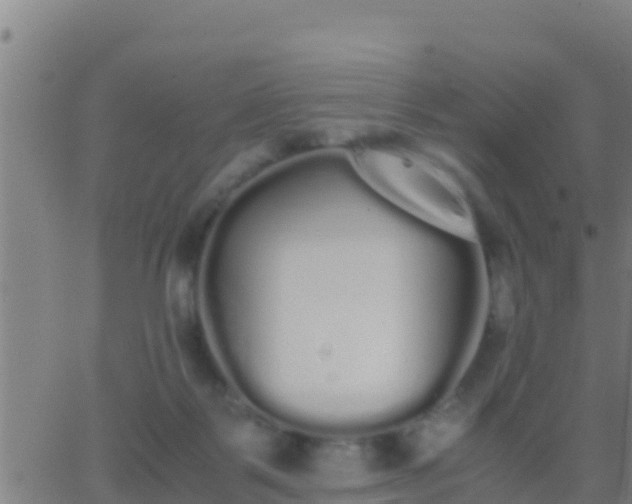 X0000062900123200601201921