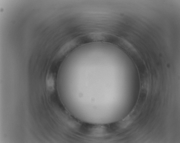 X0000062900124200601201921