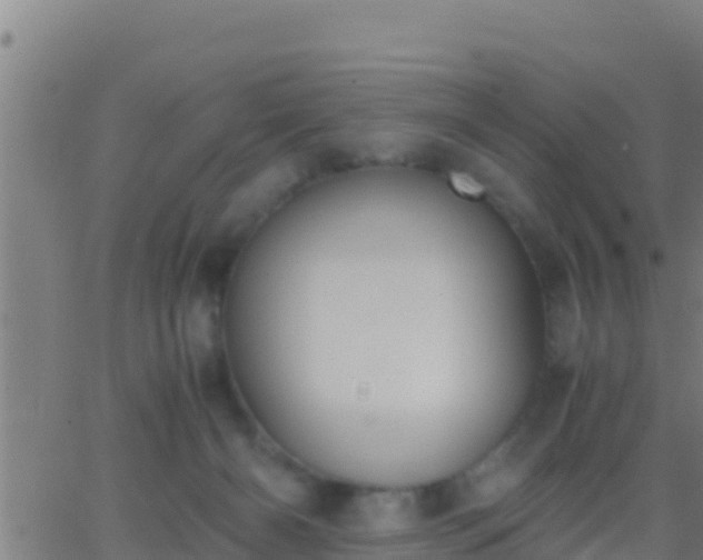 X0000062900126200601201921