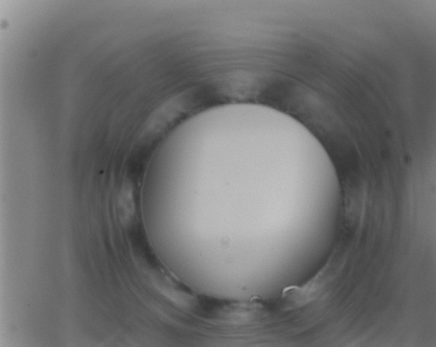 X0000062900128200601201921