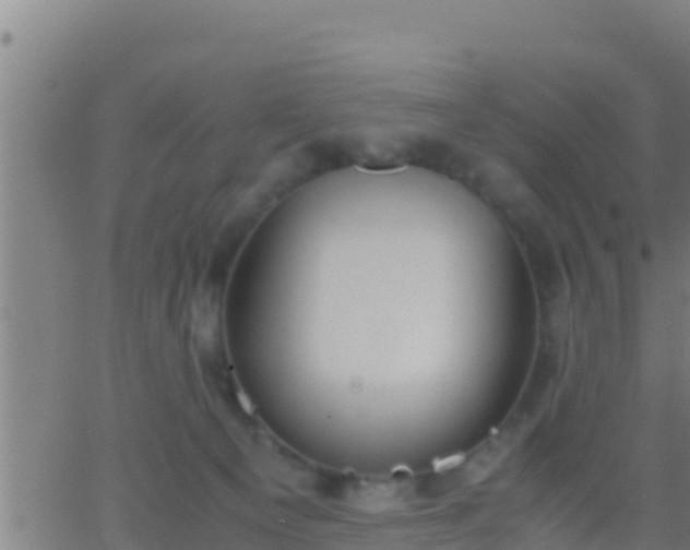 X0000062900129200601201921