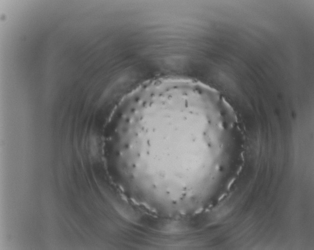 X0000062900130200601201921