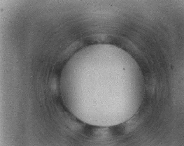 X0000062900132200601201921