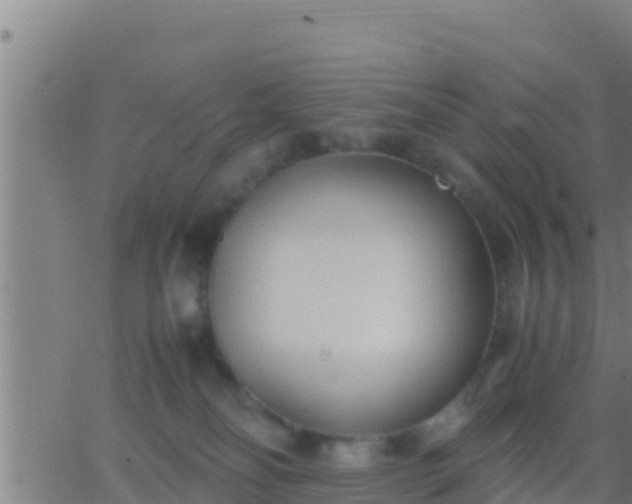 X0000062900134200601201920