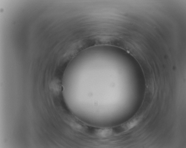 X0000062900135200601201920