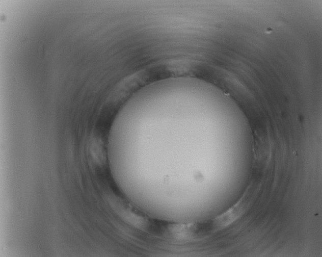 X0000062900136200601201920