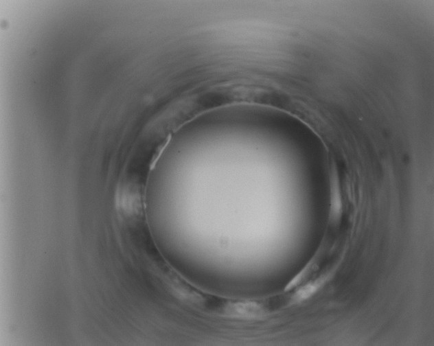 X0000062900137200601201920