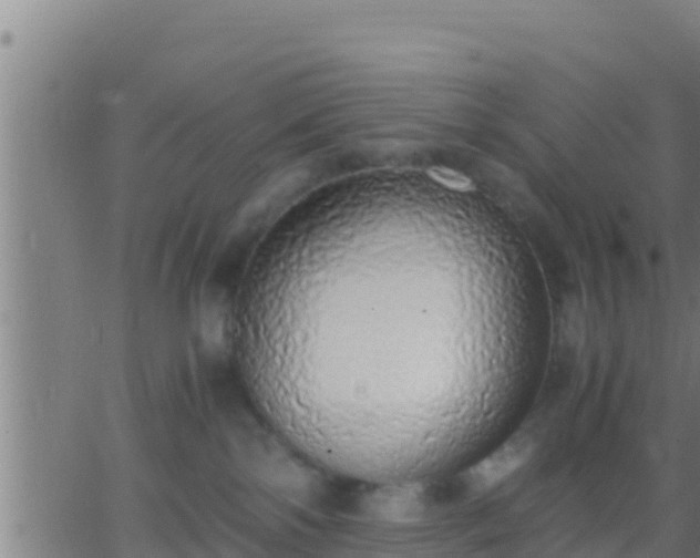 X0000062900138200601201920