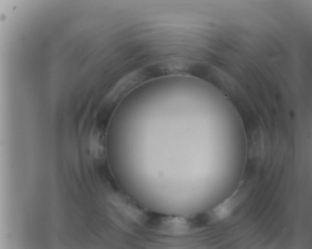 X0000062900140200601201920