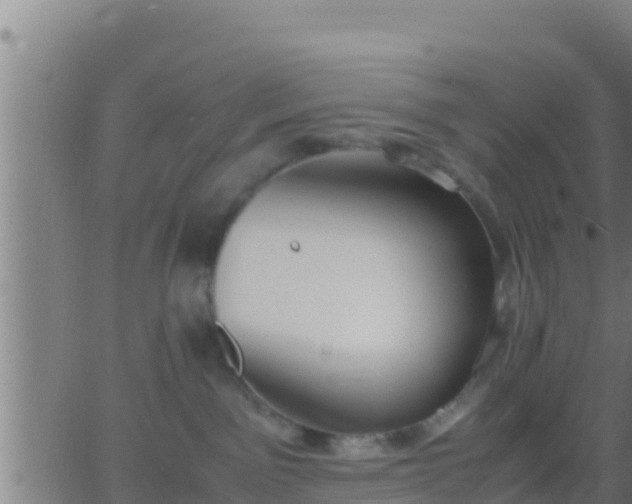 X0000062900141200601201920