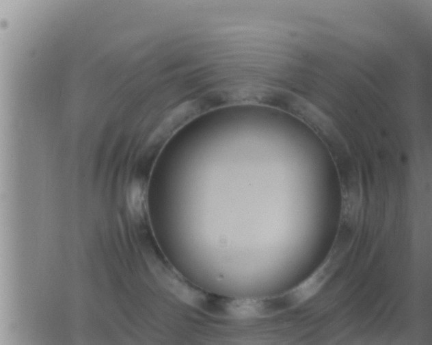 X0000062900142200601201920