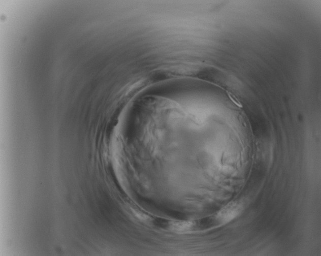 X0000062900143200601201920