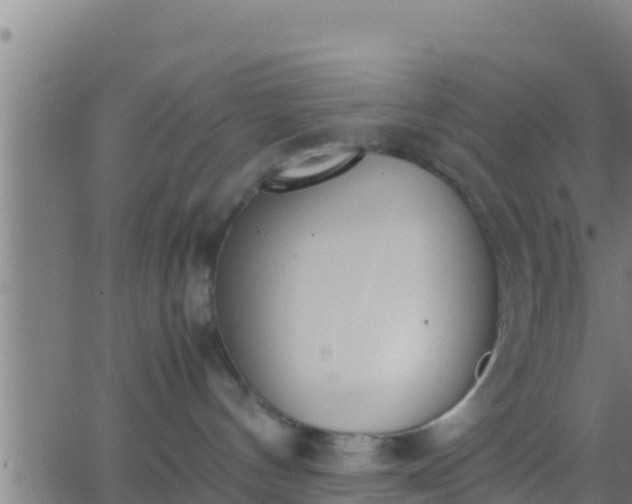 X0000062900144200601201920