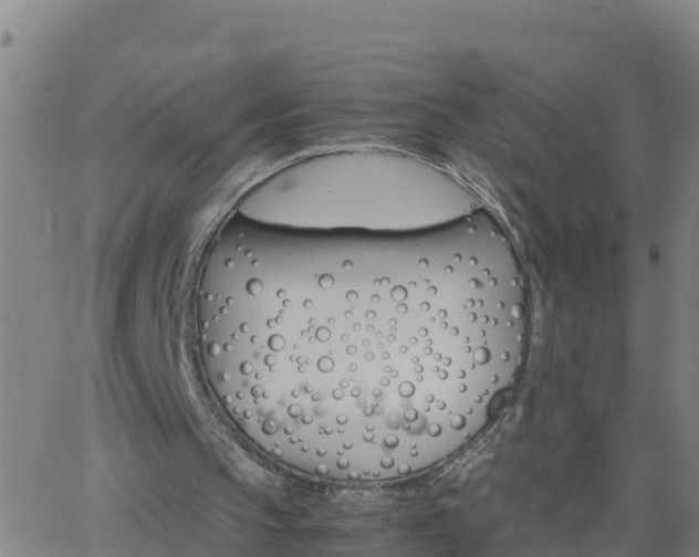 X0000062900145200601201920