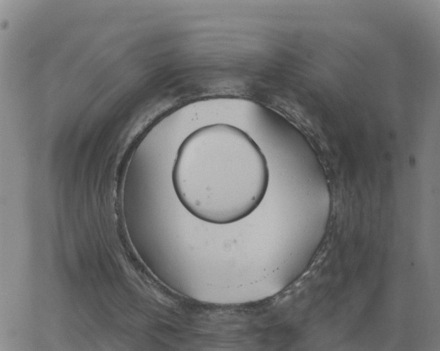 X0000062900146200601201920