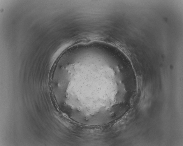 X0000062900147200601201920