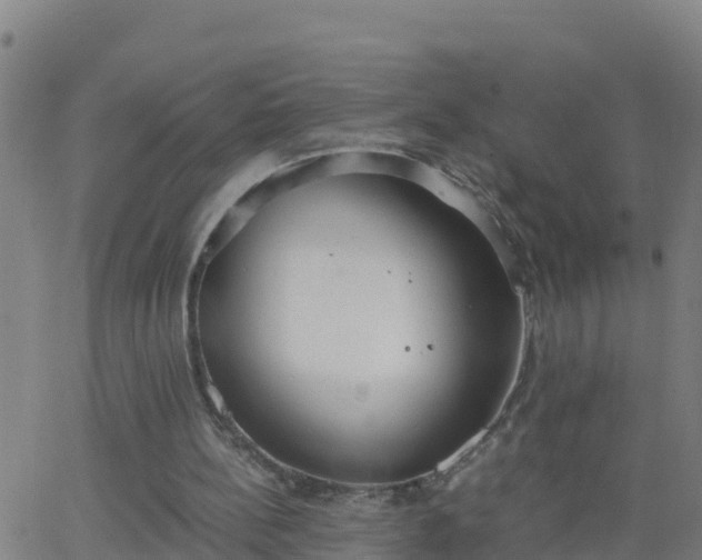 X0000062900148200601201920