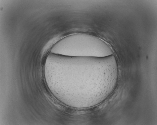 X0000062900149200601201920