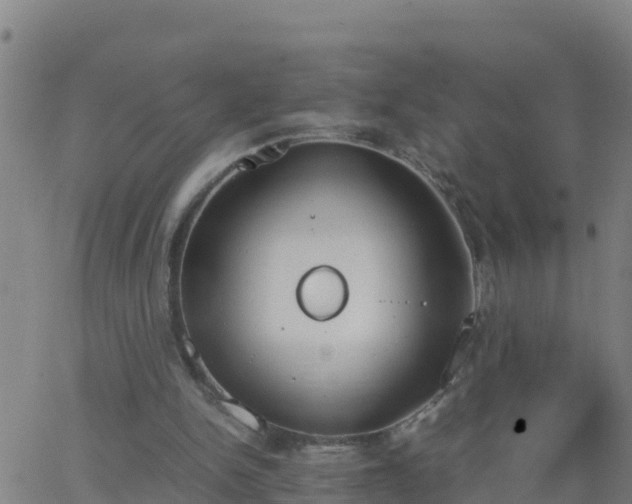 X0000062900150200601201920