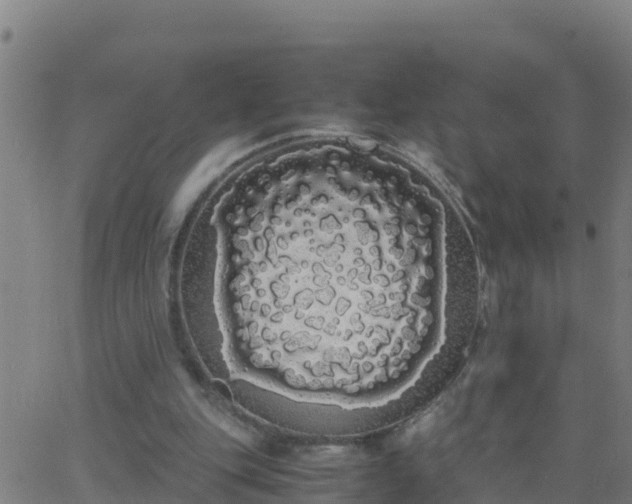 X0000062900151200601201920