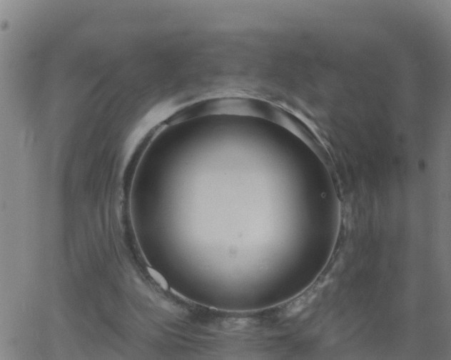 X0000062900152200601201920