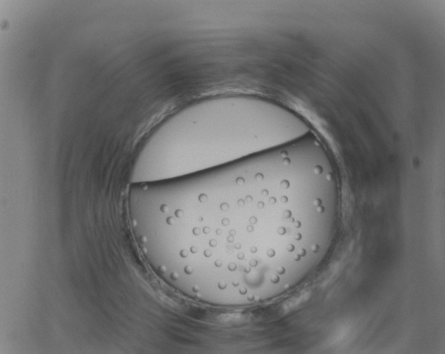 X0000062900153200601201920