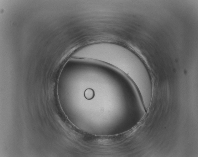 X0000062900154200601201920