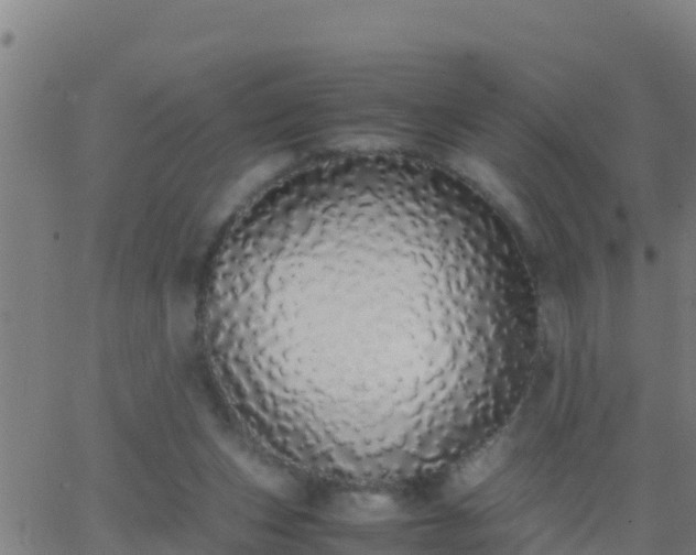 X0000062900159200601201920