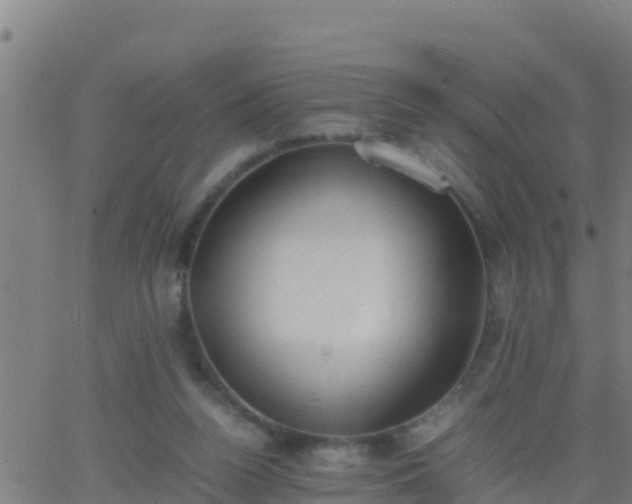 X0000062900160200601201920