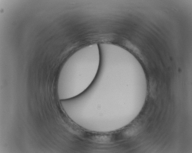 X0000062900161200601201920