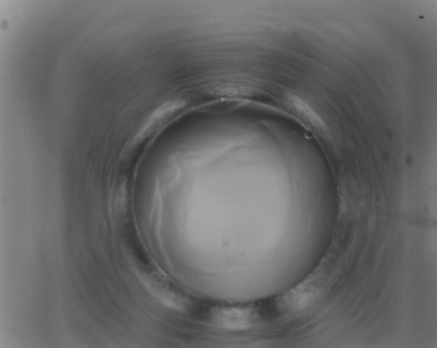 X0000062900163200601201920