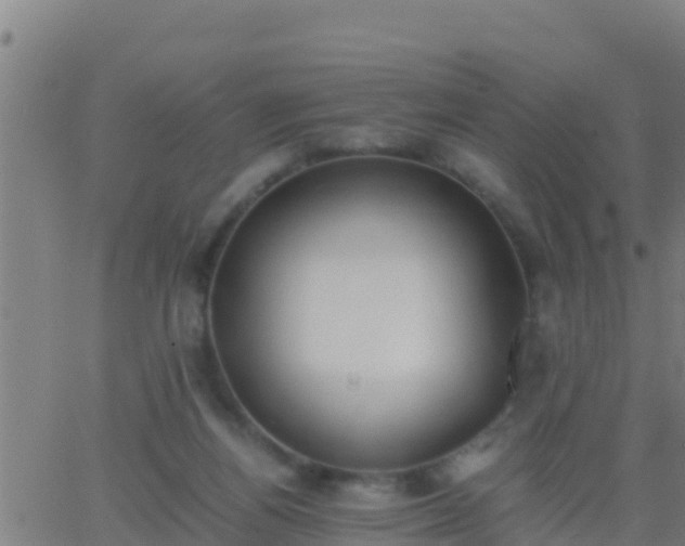 X0000062900164200601201920